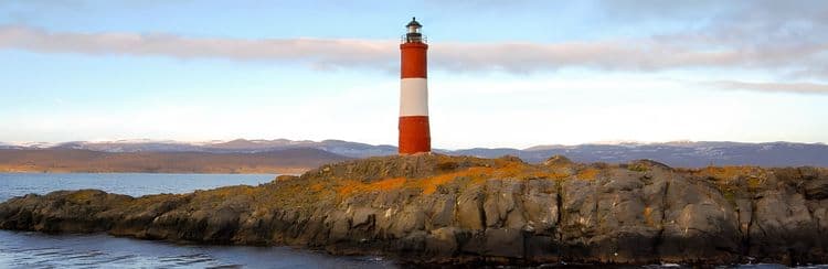 Fauna del canal Beagle