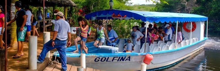 Estuaries & Bird Watching Expedition