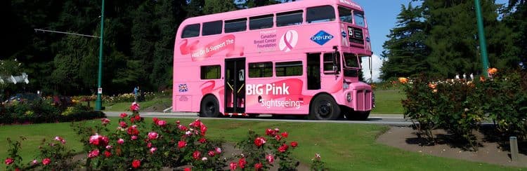 Hop-On, Hop-Off Sightseeing - Intransit Guests