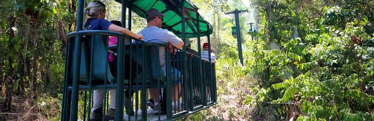 Aerial Tram, Butterfly Garden & Sloth Sanctuary