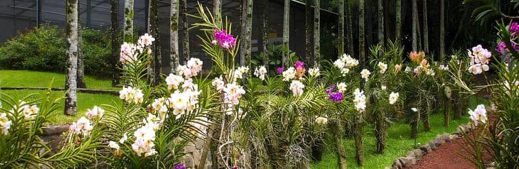 Discover Costa Rica