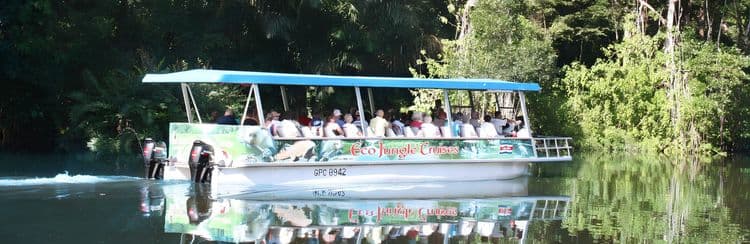 Eco Tropical Mangrove River Cruise