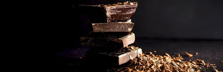 Mayan Tree Of Life & Chocolate Discovery