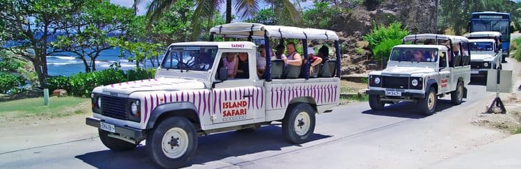 4x4 Island Safari & Beach Swim