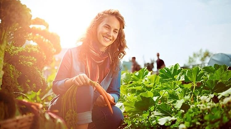 Protectours: Sustainable Copenhagen Visit to Østergro Rooftop Farm & Walk