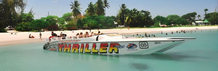 Carlisle Bay Shipwreck Snorkel & Beach