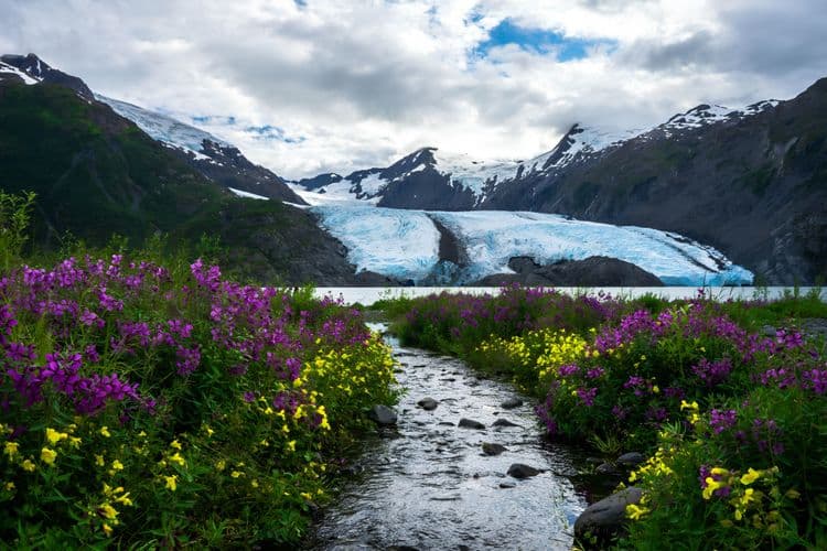 Portage Glacier Cruise Tour