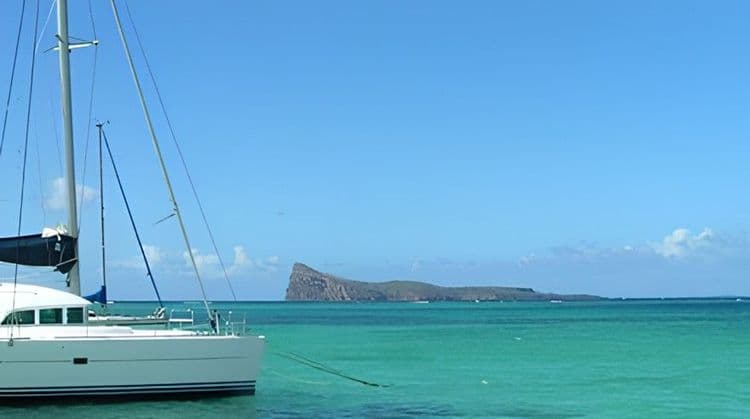 Catamaran Cruise To The North Islands