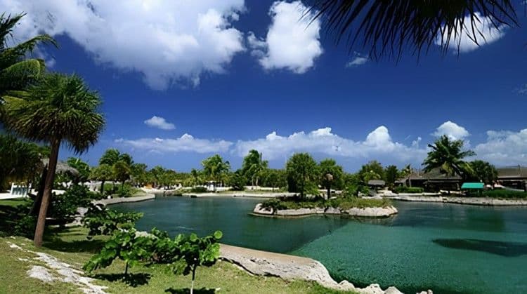 Best Of Cayman