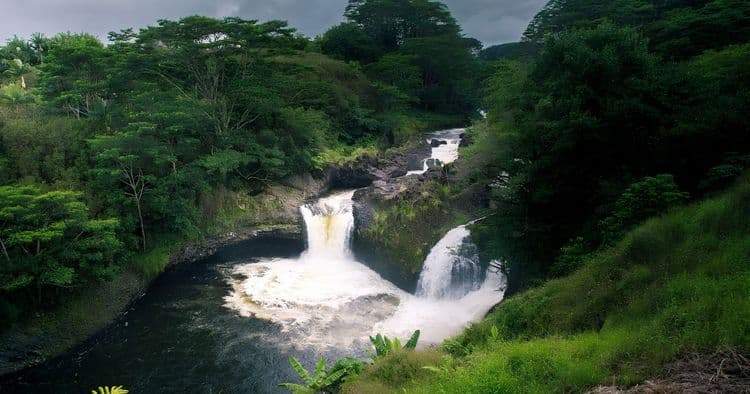Tropical Farm Tour & Rainbow Falls