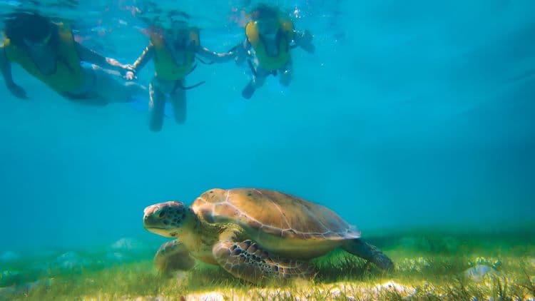 Riviera Maya’s Natural Wonders