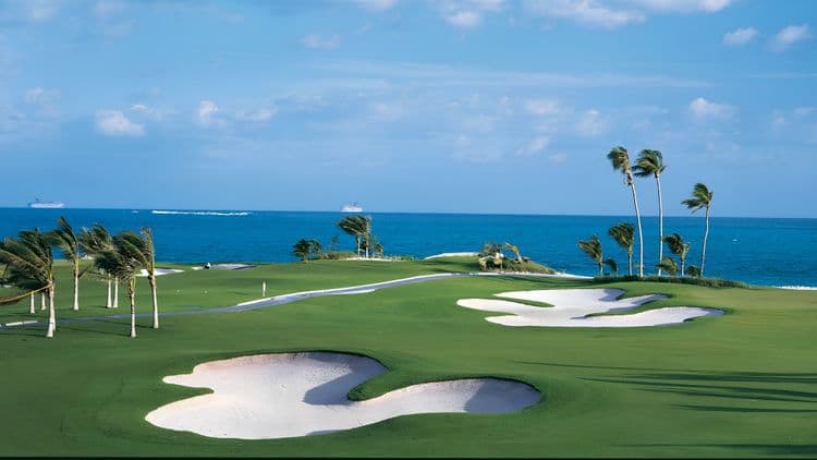 Tropical Scenes and Greens