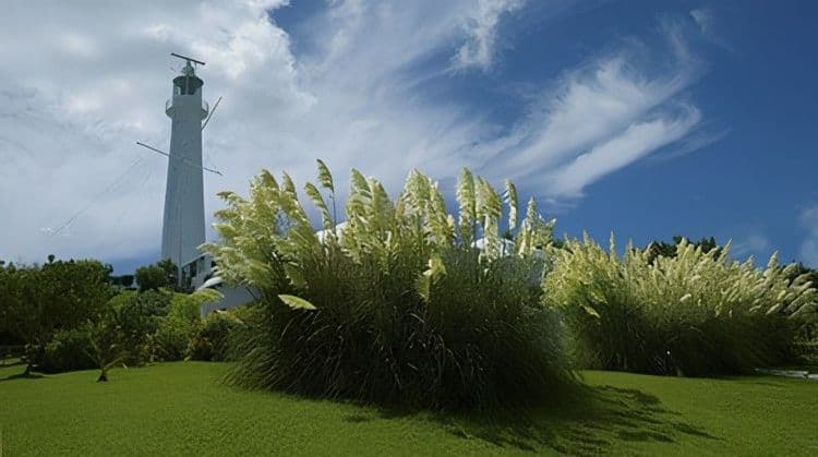 Famouse Homes & Hideways Cruise