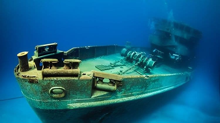 Reef & Wreck Snorkel