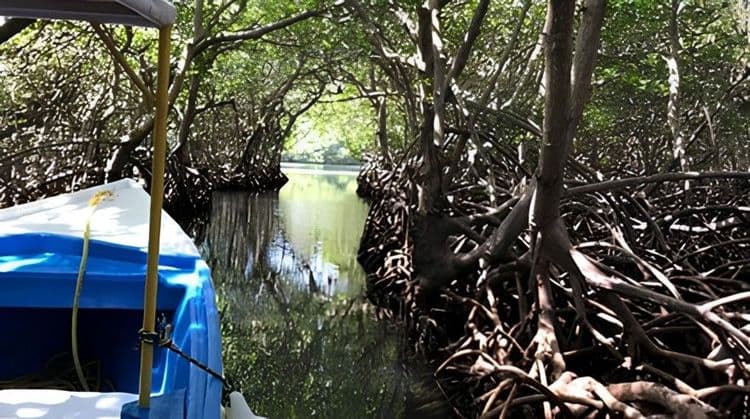Exploring Roatán’s Fishing Villages