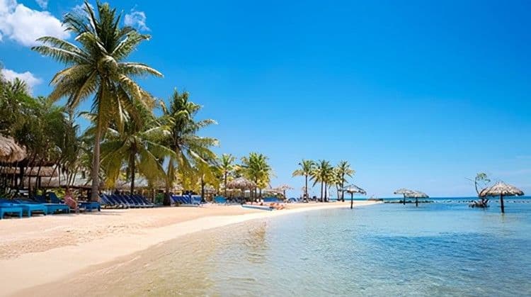 Las Palmas Beach Express