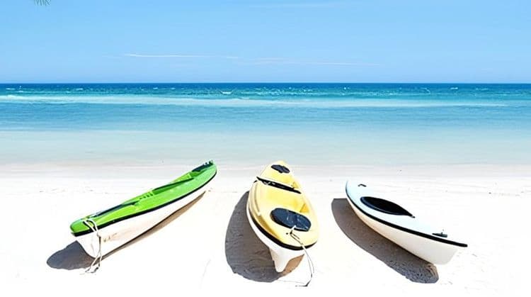 Kayak Rental (Max 2 Pax)