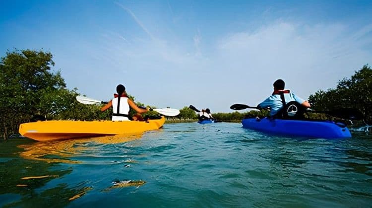 Mangrove Kayaking for Fully Vaccinated Guests