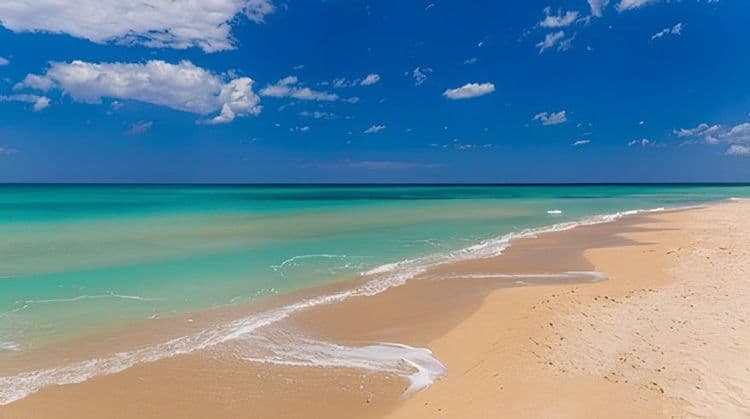 Fun and Relax at the Beach Covid Certificate Required