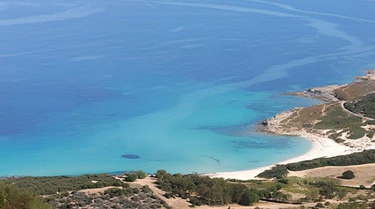 Corsican Flavours