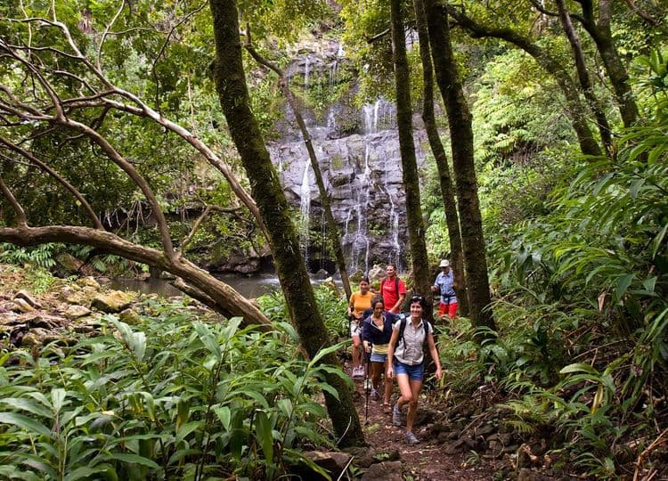 Kohala Waterfalls Adventure