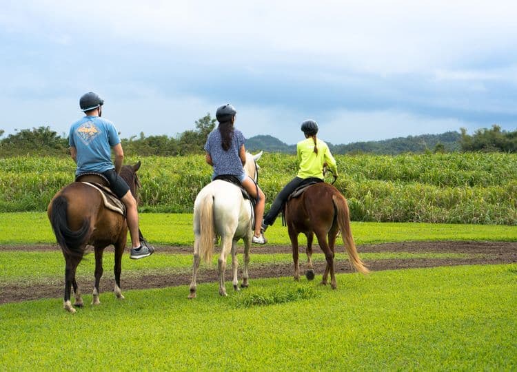 Campo Rico Horseback Ride