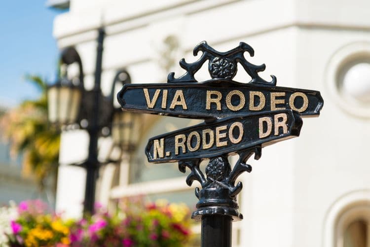 Los Angeles Highlights and Rodeo Drive with Airport Transfer