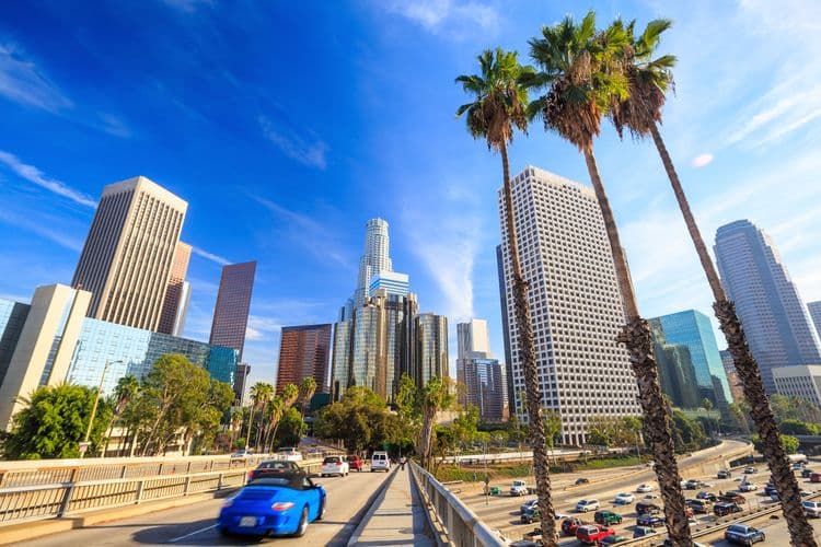 Los Angeles Highlights & Airport Transfer