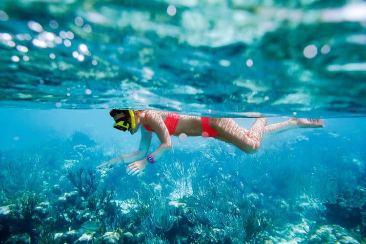 Snorkeling At Princess Cruises Cays (For Experienced Snorkelers)