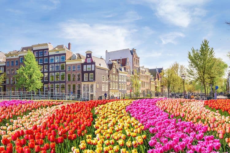 Keukenhof Gardens