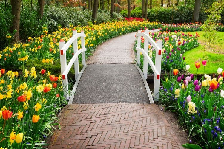 Keukenhof Gardens & Historic Haarlem