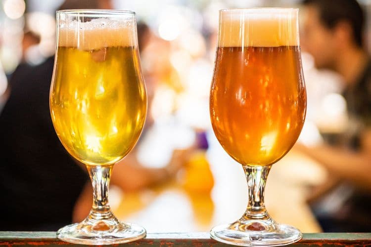 Beer Tasting
