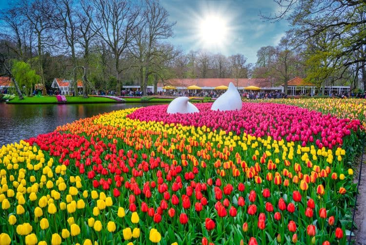 Keukenhof Gardens Tour