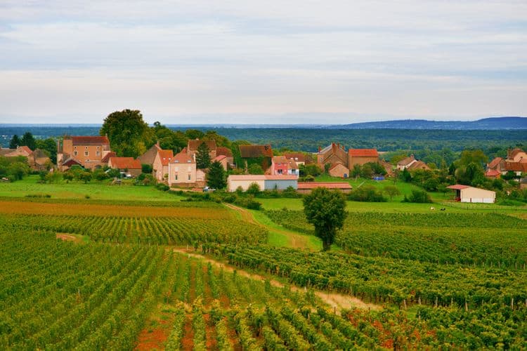 Chalonnaise Wine Tasting