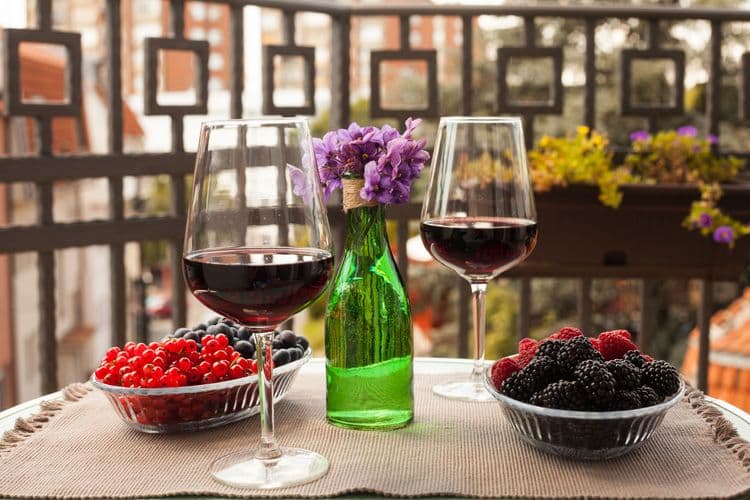 Podrum Panjotovic Wine Tasting