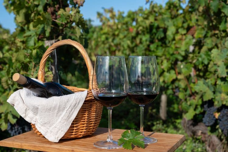 Wine Tasting at Weingut Röschard