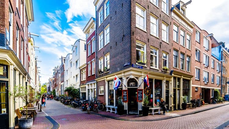 Bites & Highlights of Amsterdam