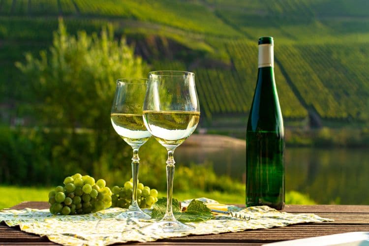 German Wine Tasting Experience