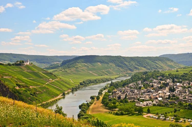 Vineyards, Villages & Views of the Moselle