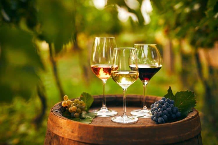 Wine Tasting in the Hungarian Countryside