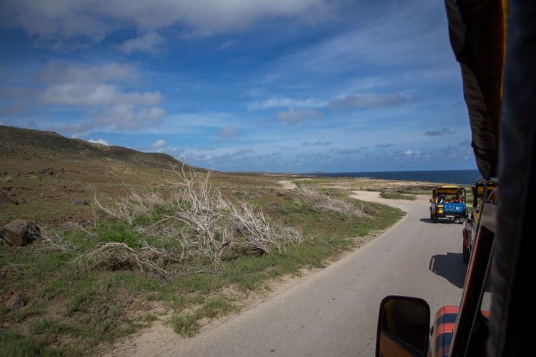 The VIP Jeep Safari & Beach Picnic