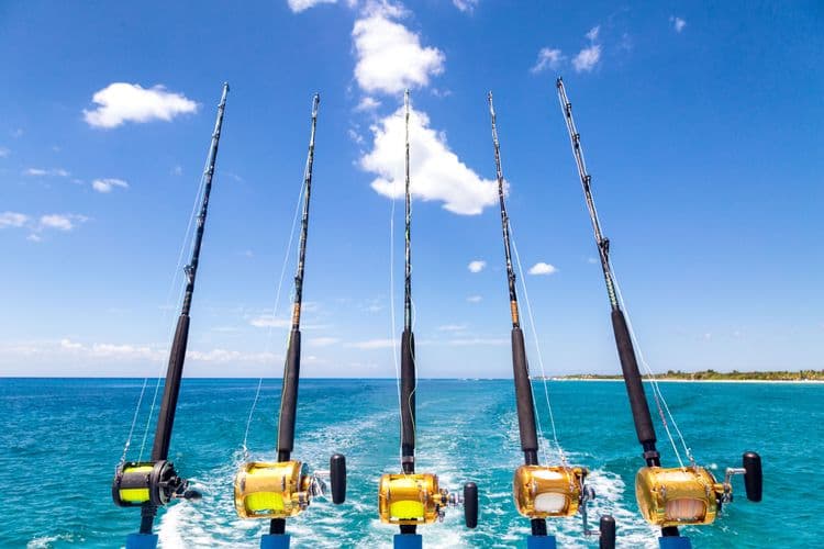 The Reel World — Deepsea Fishing