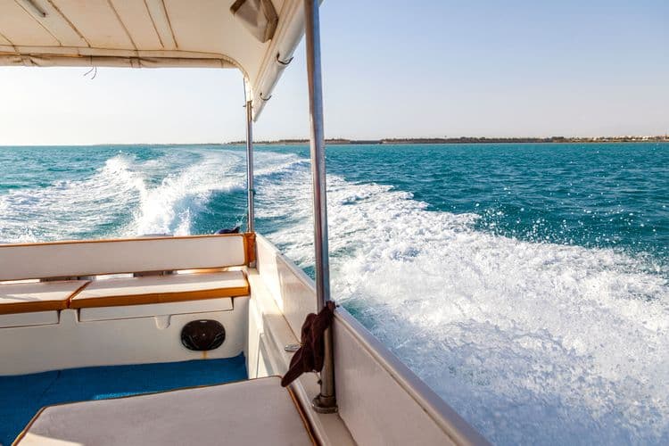 Half-Day Private Boat Charter in the BVI