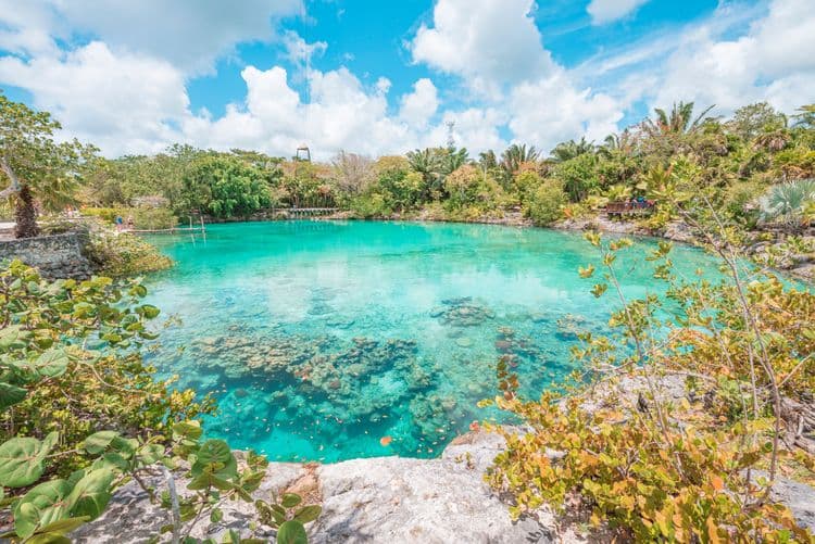 Cenote Hopping Adventure