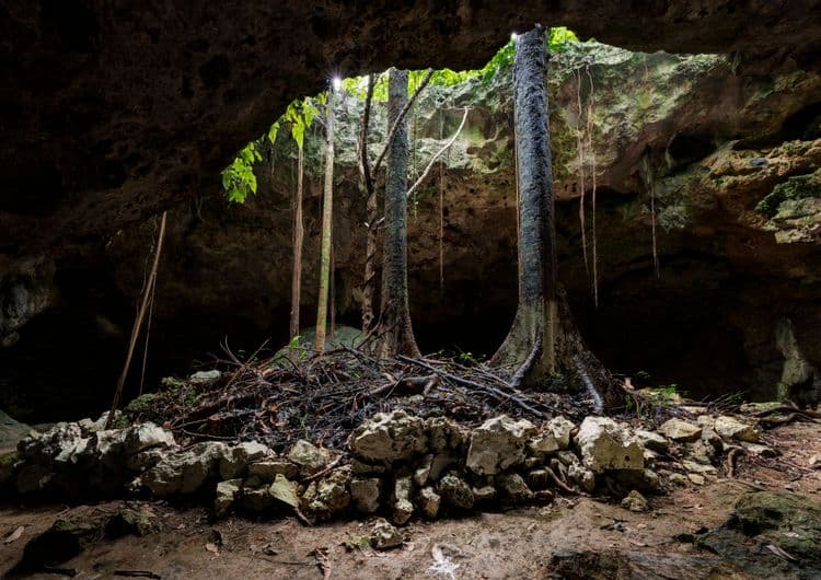 Chaak Tun Cenote and Playa del Carmen Tour