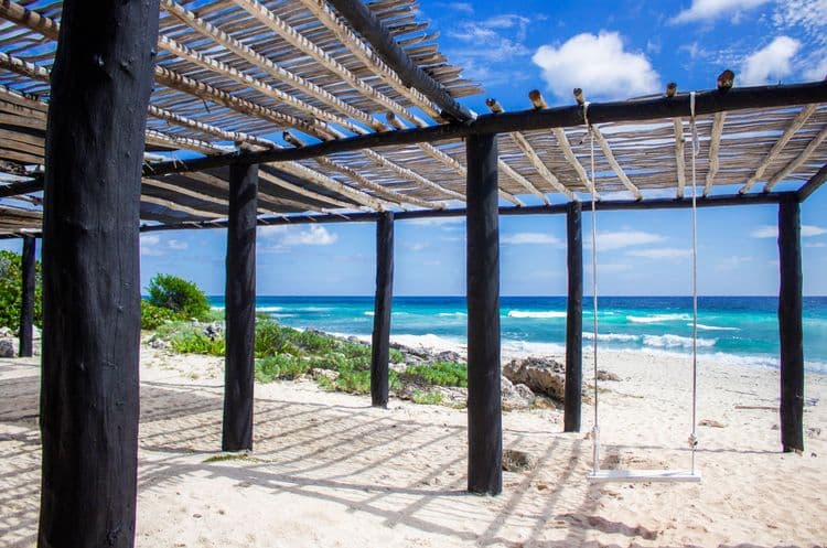 Cozumel’s Punta Sur Park Exploration