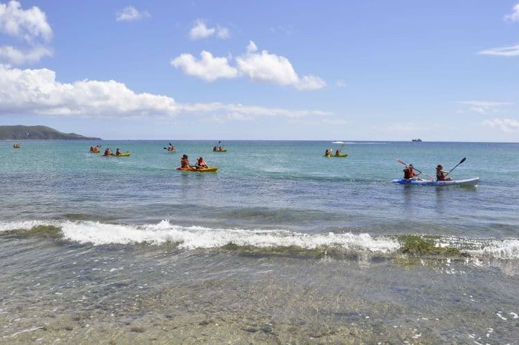 Kayak & Snorkel the St. Kitts Coast