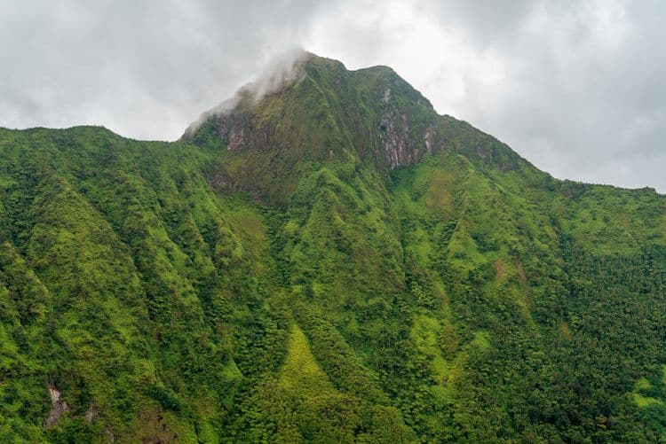 Mount Liamuiga Volcano Hike