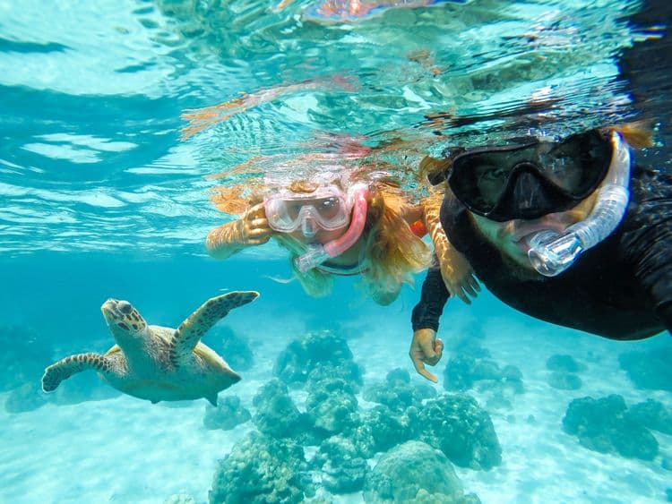 Sail & Snorkel — Sea Nevis in Style