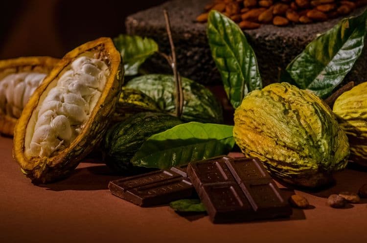 From Bean to Bar — An Evolution of Chocolate